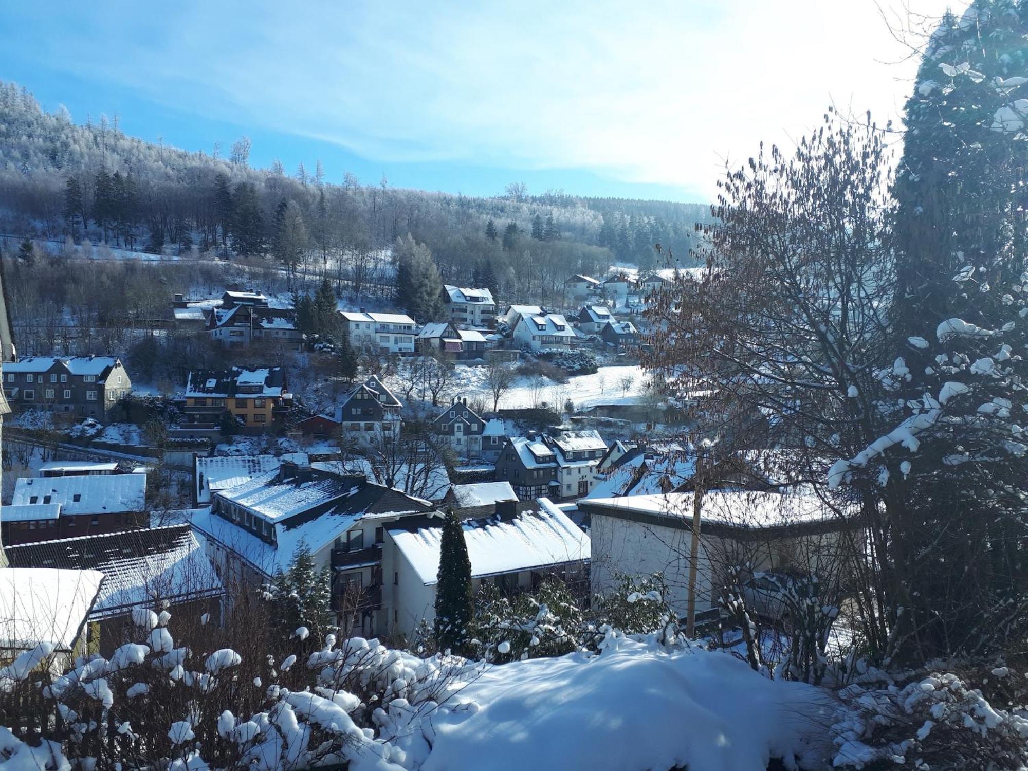 Cosy Apartment In Schwalefeld Near Willingen With Private Terrace Экстерьер фото
