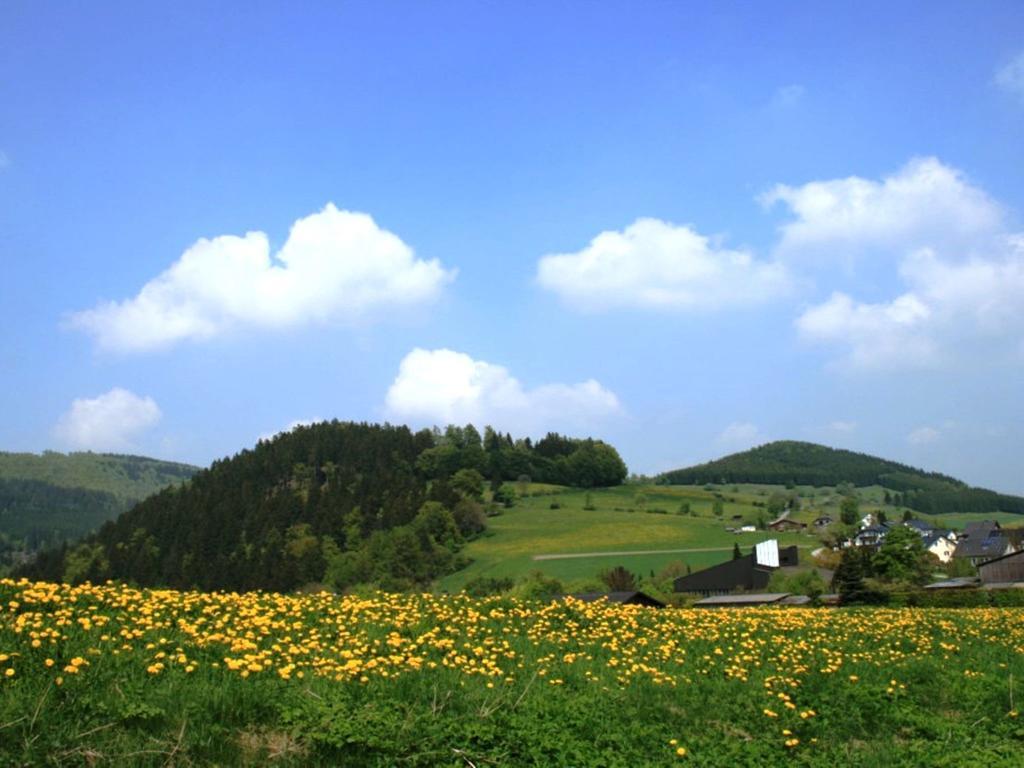 Cosy Apartment In Schwalefeld Near Willingen With Private Terrace Экстерьер фото